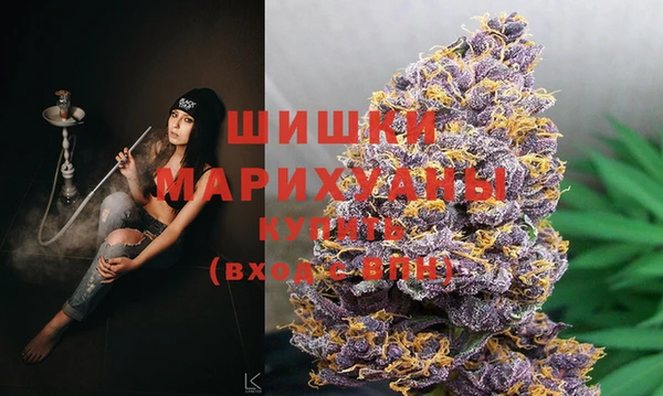 гидра Бронницы