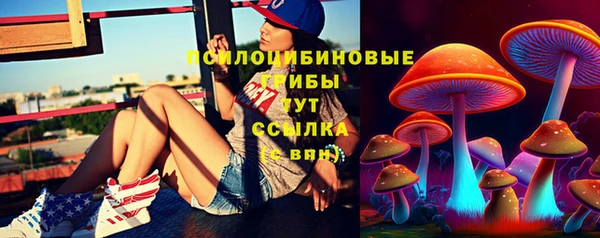 гидра Бронницы